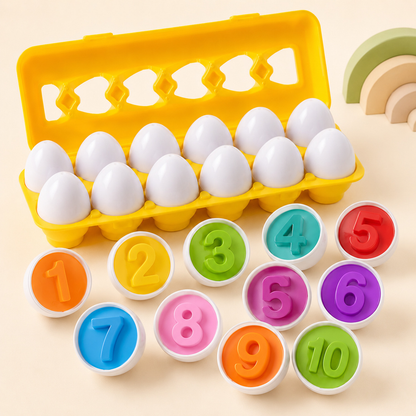 Ovos de encaixe Montessori coloridos organizados na caixa